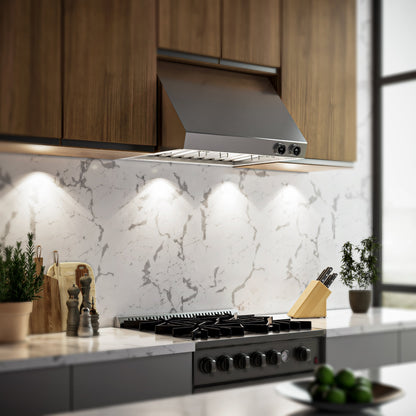 Forno Biagio 30-Inch Wall Mount Range Hood, 600 CFM, Stainless Steel (FRHWM5009-30)2